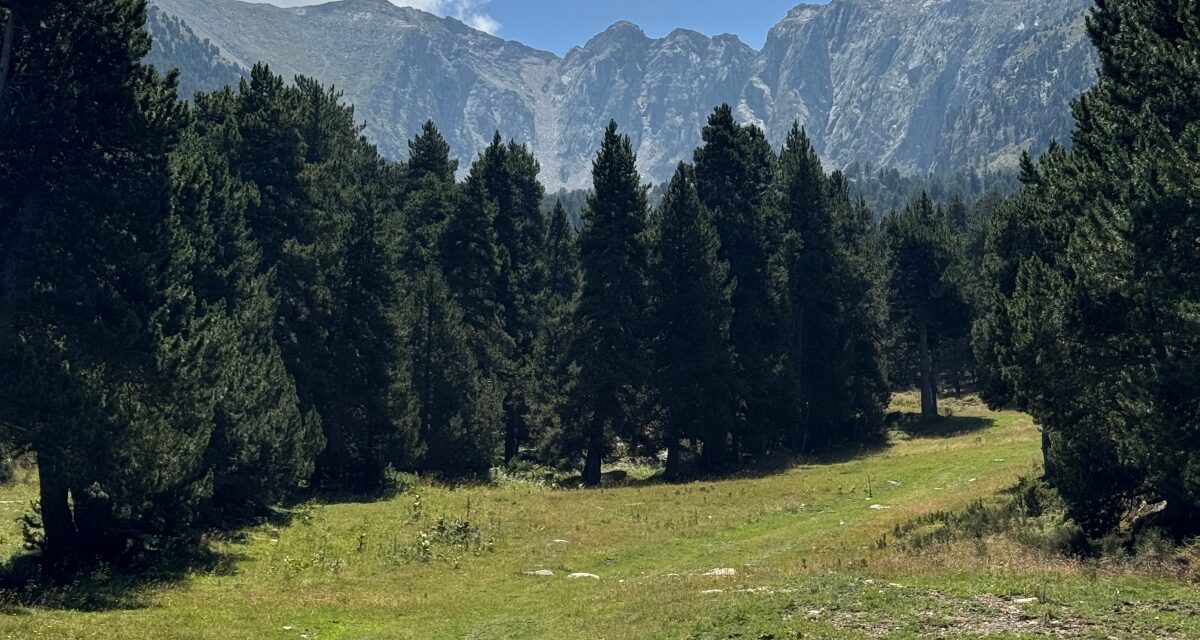 Estiu a Cambre d’Ase: natura, esport i paisatges de muntanya