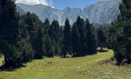 Estiu a Cambre d’Ase: natura, esport i paisatges de muntanya