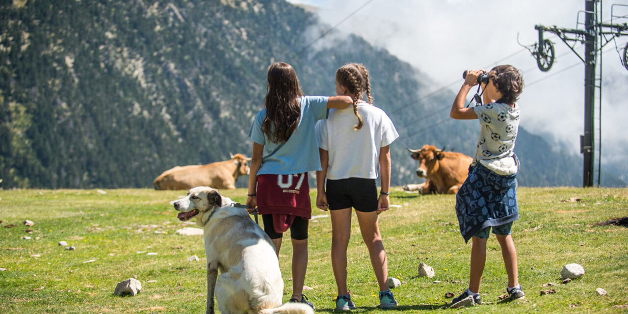 Vallter estiu 2026: novetats i millores a l’estació